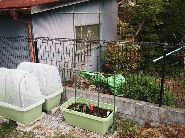 1581円 配送員設置送料無料 つる実ちゃん2 100個入 トマト キュウリの誘引具 誘引資材 補助具 誘引具 園芸用品 農機具 瀧商店 つる実ちゃんII 槍木産業